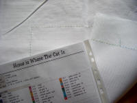 Home is where the cat is 1