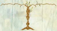 Rites of Spring 2