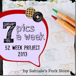 52 week project 2012