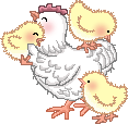 Album Cucito creativo