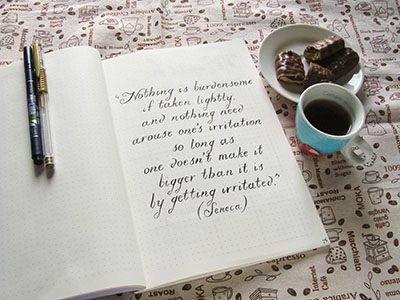 pg25 "Stoic quote"