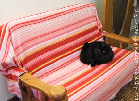 2 Fleece blankets