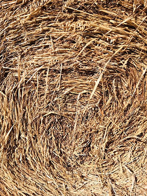 #allyoucantexture Balla di fieno